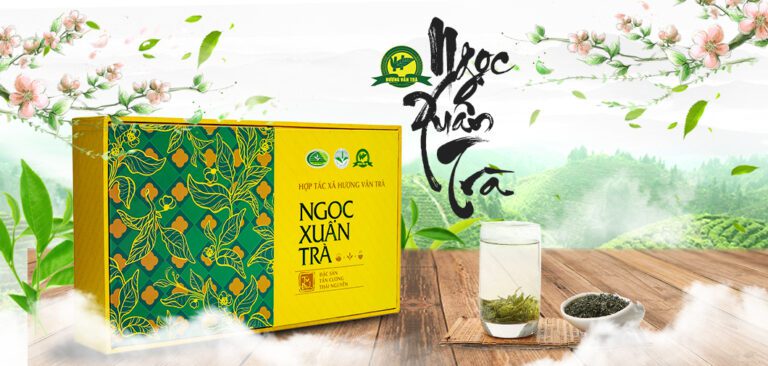 Ngọc Xuân Trà - Trà Đinh Thái Nguyên