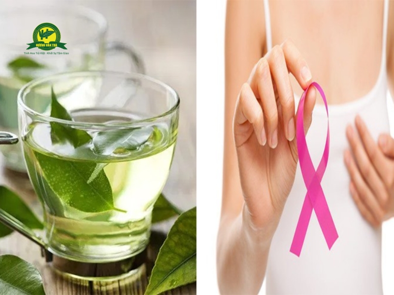 Trà xanh mang đến nhiều công dụng