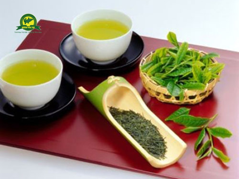 Loại trà sử dụng cũng vô cùng quan trọng