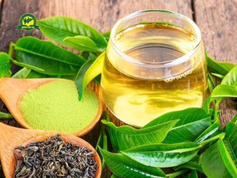 Sử dụng trà xanh trong y học cổ truyền