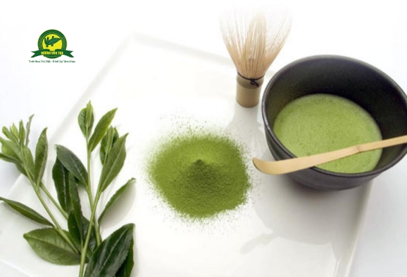 Sử dụng trà xanh để tẩy tế bào chết