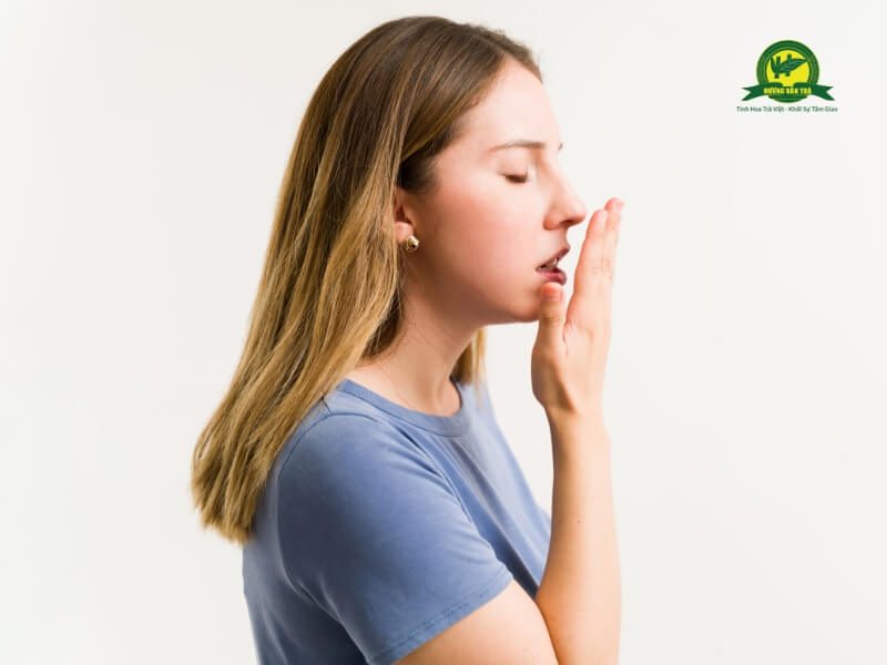Tác dụng giảm hôi miệng đáng kể