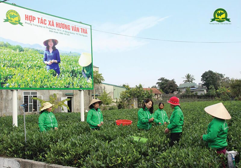 HTX Hương Vân tại Thái Nguyên