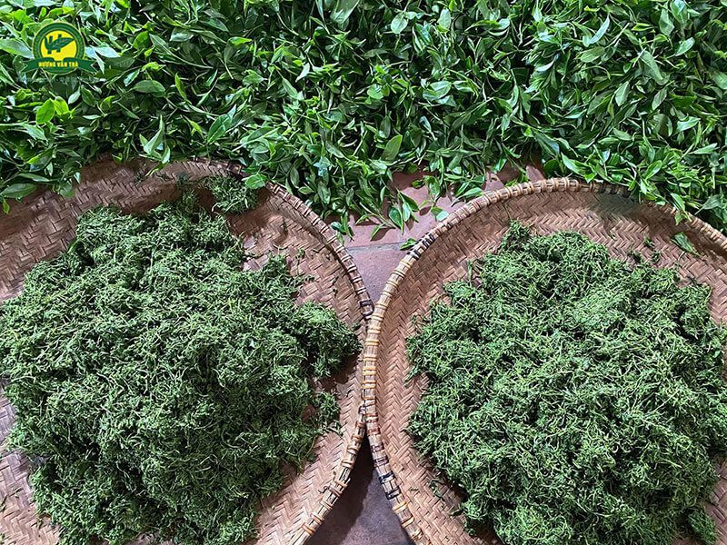 Nét đặc trưng của trà xanh Thái Nguyên