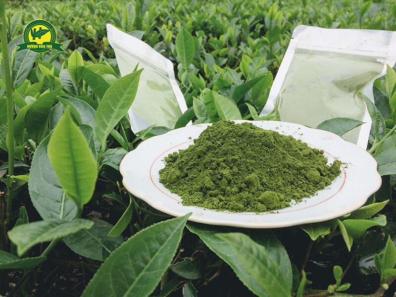 Bột trà xanh Thái Nguyên