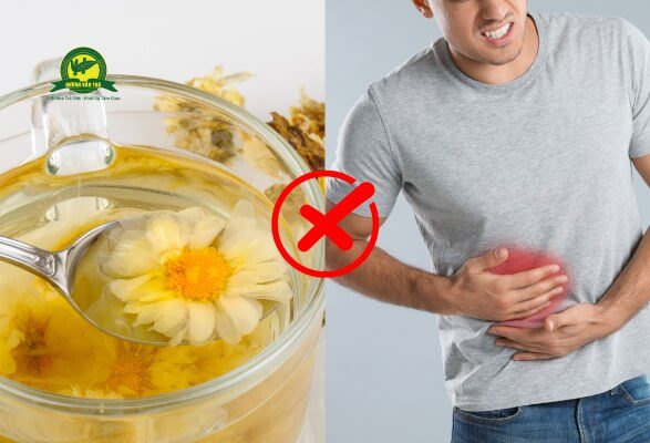 Ai không nên uống trà hoa cúc