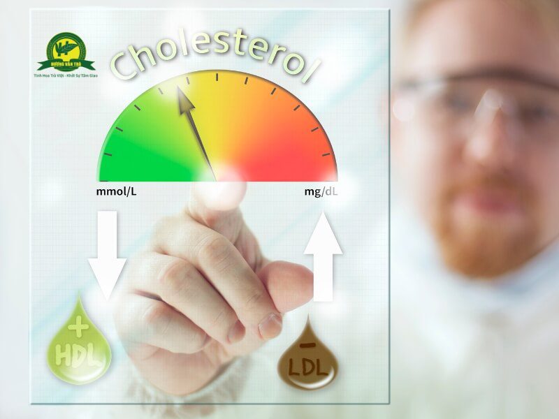 Trà linh chi giúp giảm cholesterol