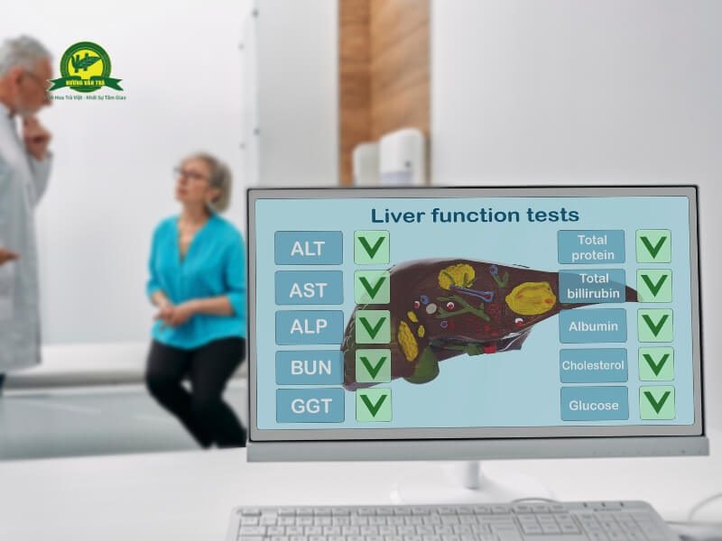 Giúp tăng cường chức năng gan