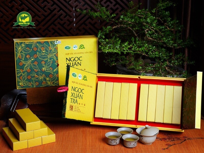 Dòng trà Đinh Tân Cương ngon nhất