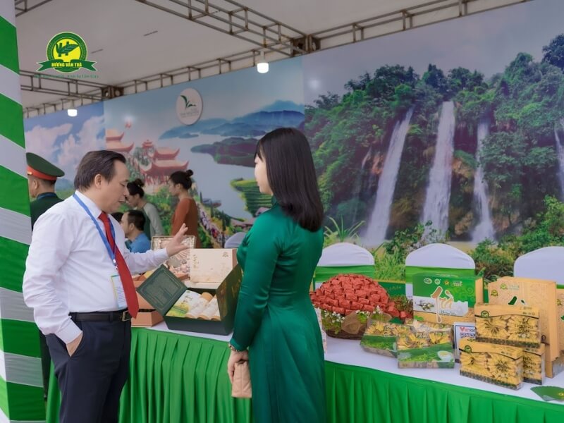 Hương Vân Trà - Niềm Tự Hào của Vùng Đất Tân Cương - Thái Nguyên