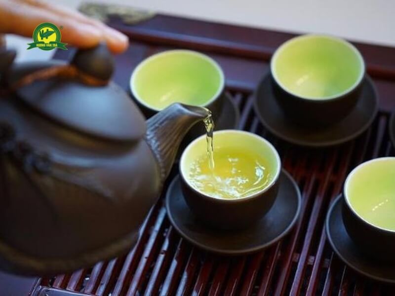 Trà Bắc là gì?