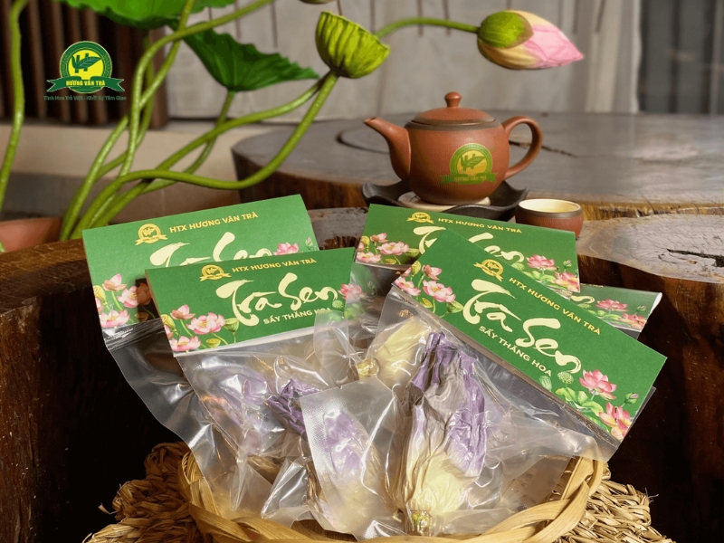 Trà sen sấy thăng hoa tại Hương Vân trà