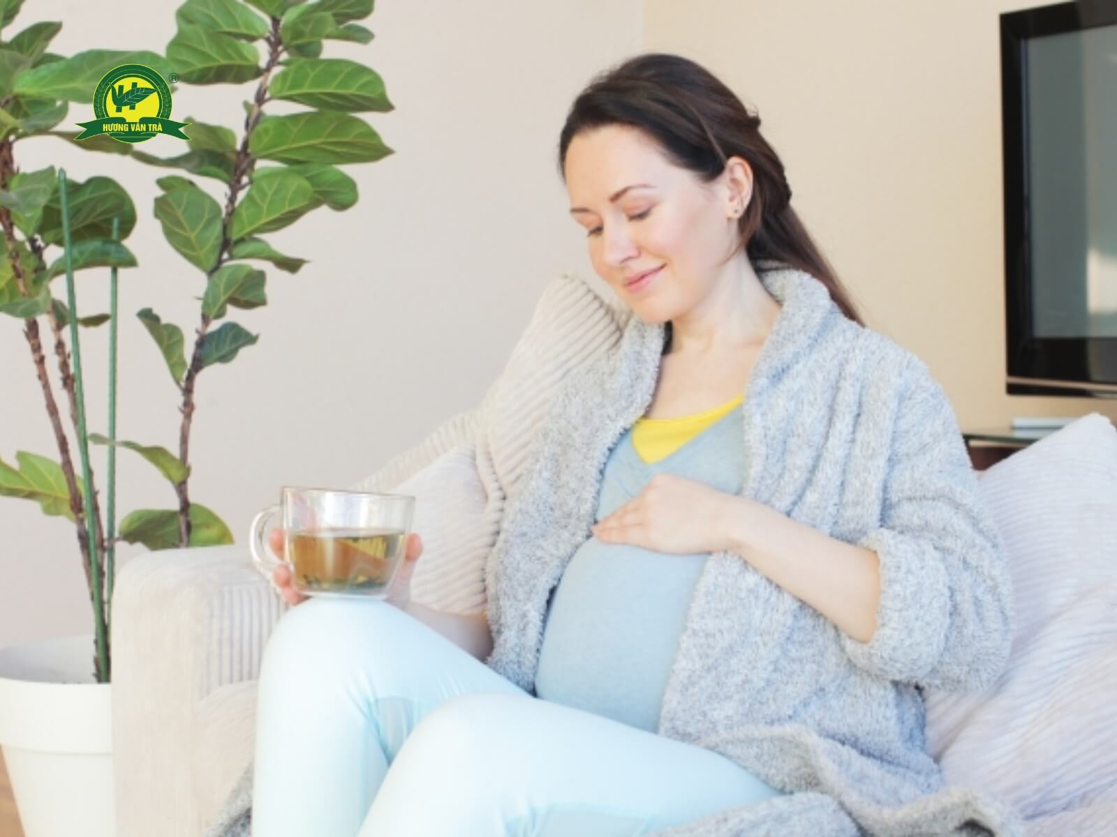 Bà bầu uống nước chè xanh được không?