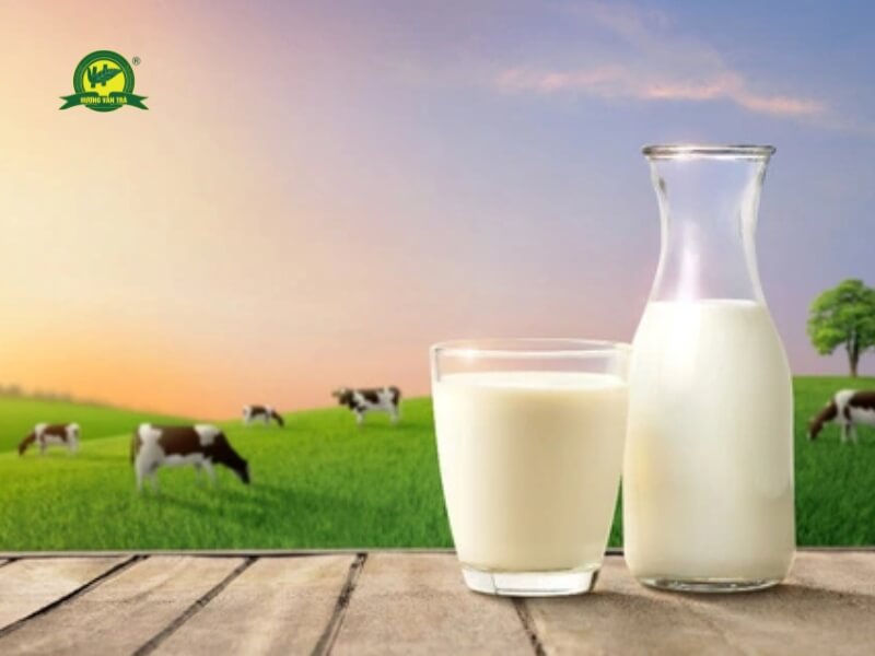 Sữa là nguyên liệu không thể thiếu