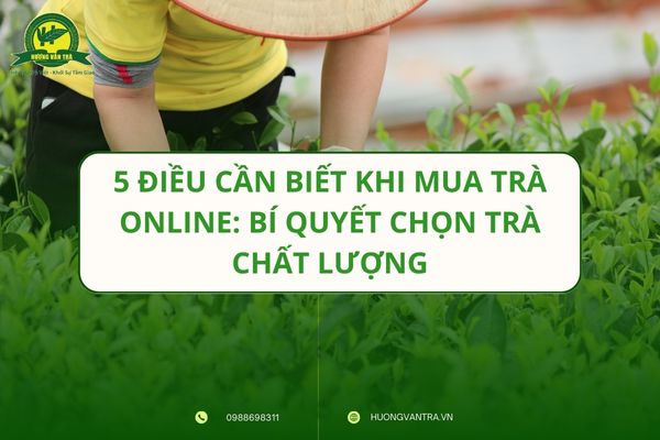 5 điều cần biết khi mua trà online: Bí quyết chọn trà chất lượng