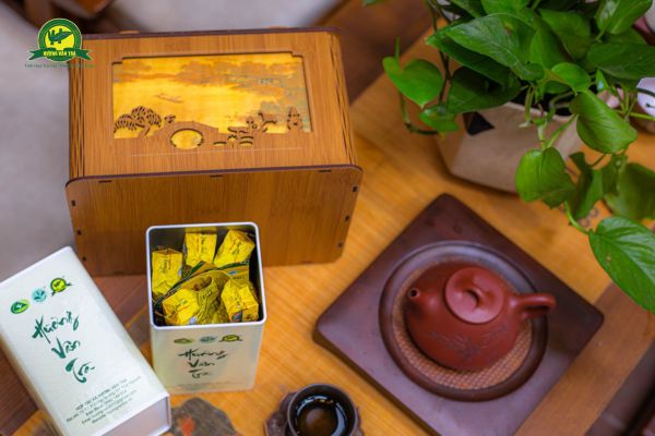 Cách Chọn Ấm Pha Trà Phù Hợp Để Tận Hưởng Hương Vị