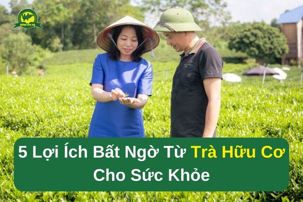 5 Lợi Ích Bất Ngờ Từ Trà Hữu Cơ Cho Sức Khỏe