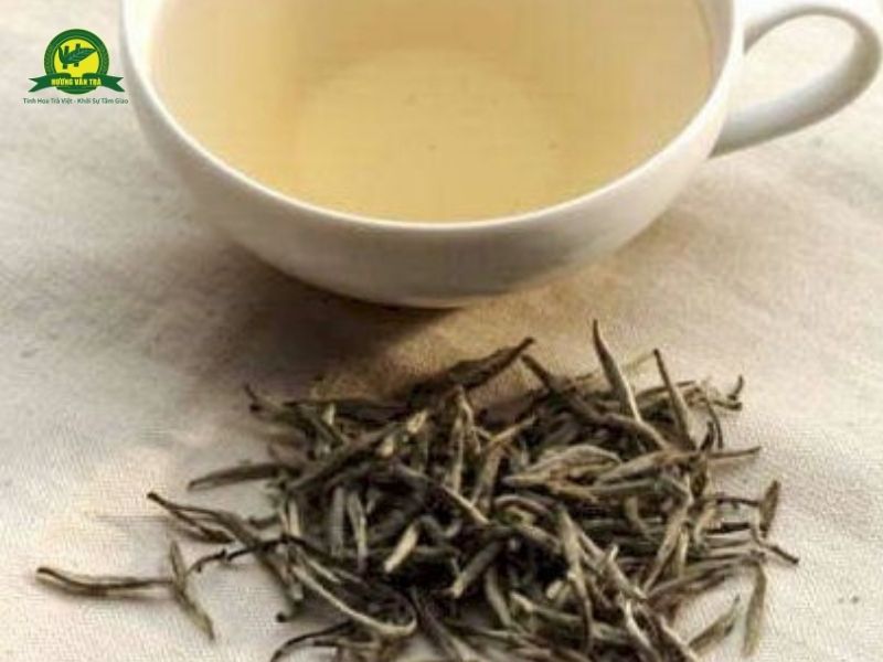 Nguồn gốc trà trắng