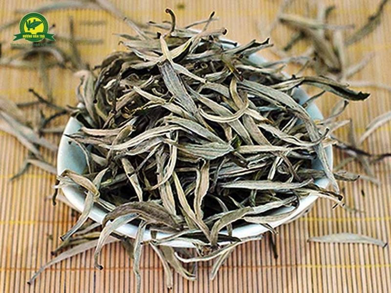 Lợi ích sức khoẻ của trà trắng