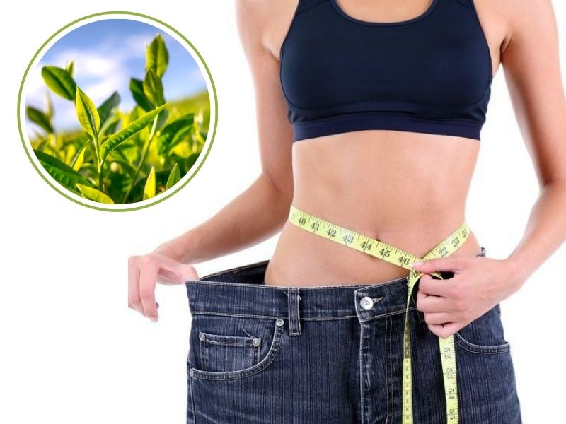 Trà xanh hỗ trợ giảm cân
